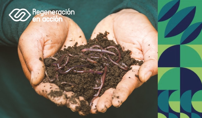 Curso de agricultura online gratis con certificado