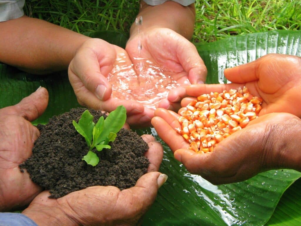 Agua semillas y tierra componentes fundamentales de la soberania alimentaria 1 Agricultura y regeneracion