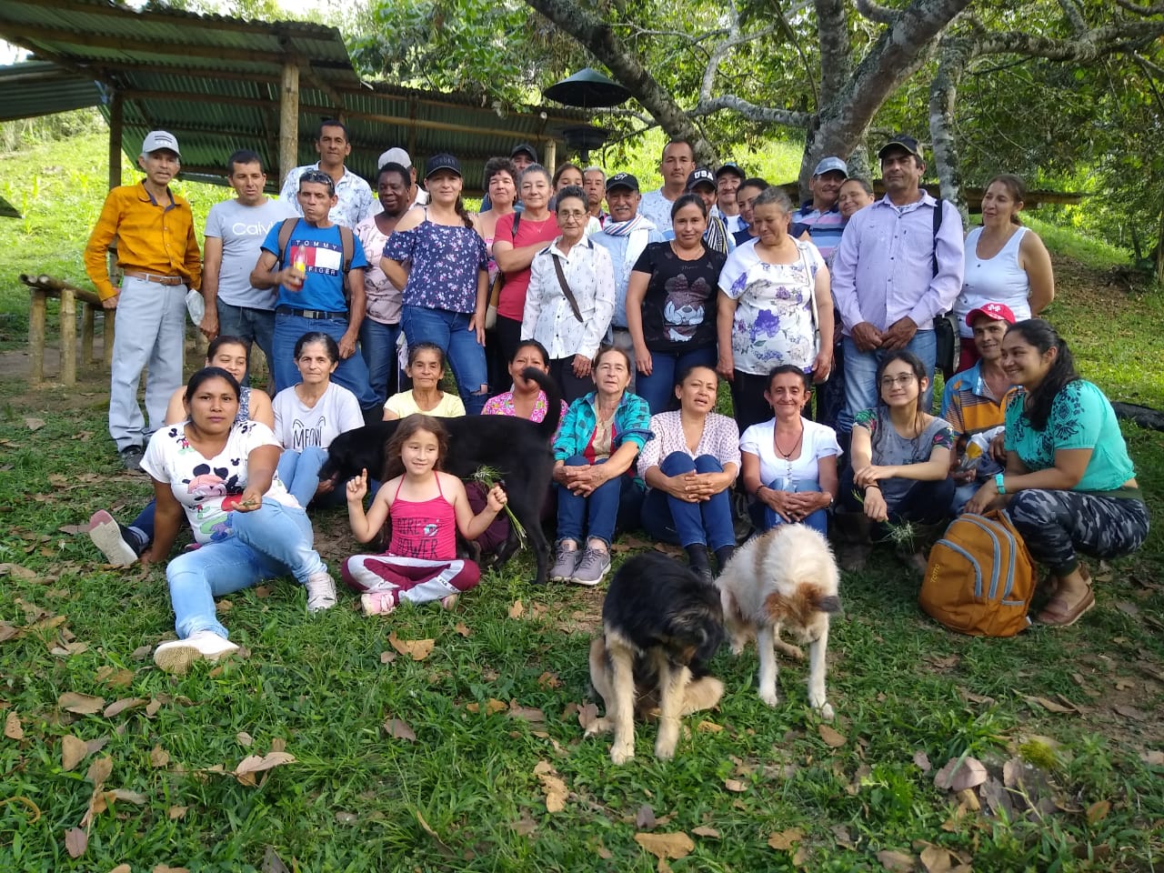 Regeneradores agricultura y economía, cursos de regeneración y agricultura regenerativa