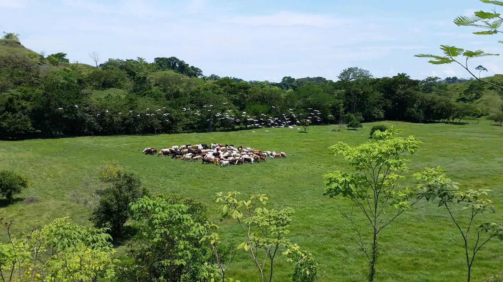 Hacienda el Pajuil5