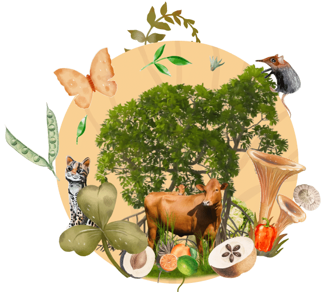 Cover podcast regeneracion Agricultura y regeneracion
