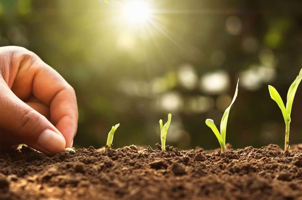 agricultura regenerativa Agricultura y regeneracion