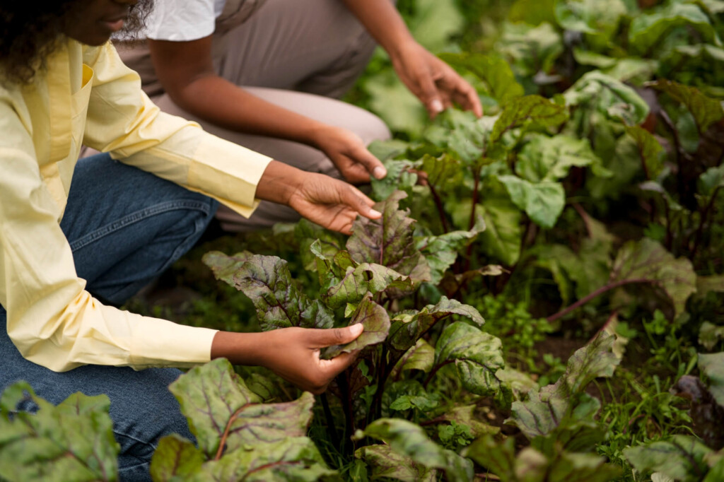 2149894737 1 Agricultura y regeneracion