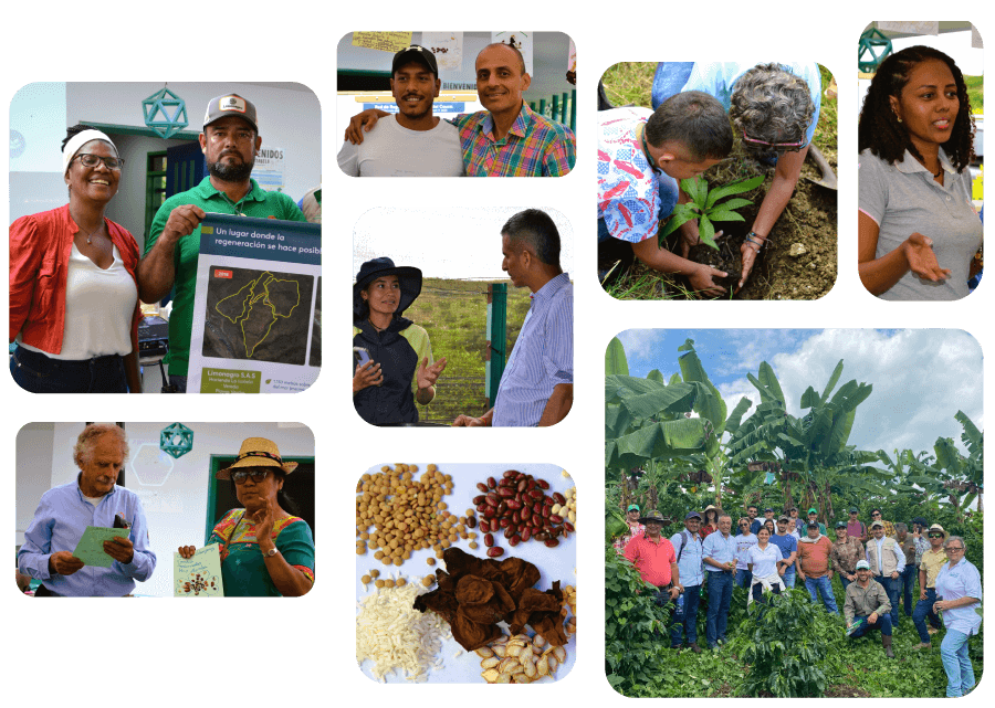 2345 1 Agricultura y regeneracion