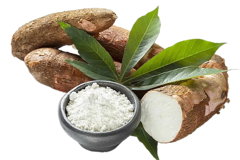 pngwing.com 11.png Agricultura y regeneracion